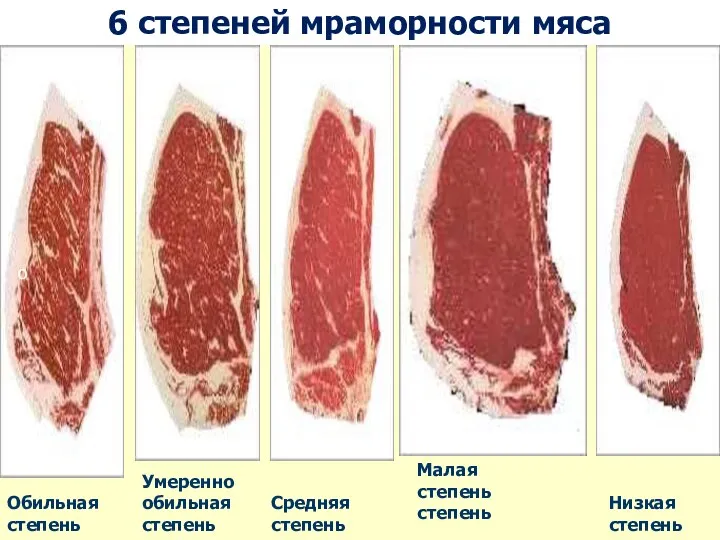 6 степеней мраморности мяса о Обильная степень Умеренно обильная степень