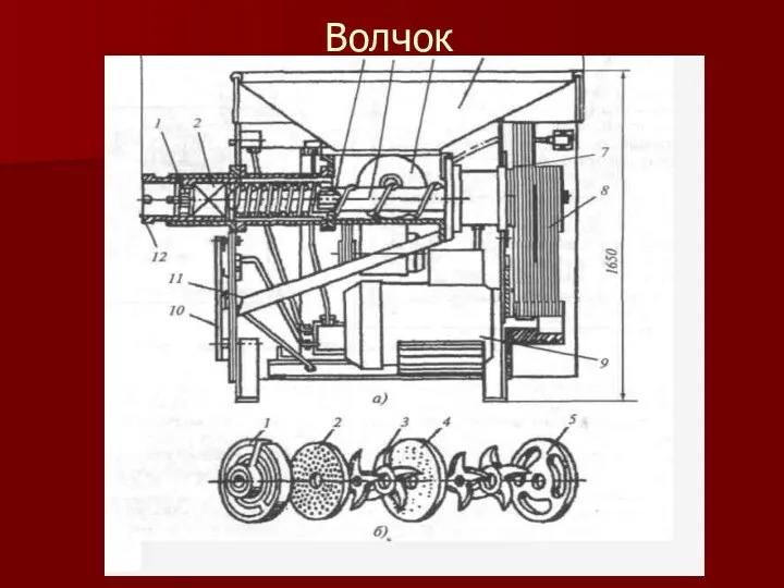 Волчок