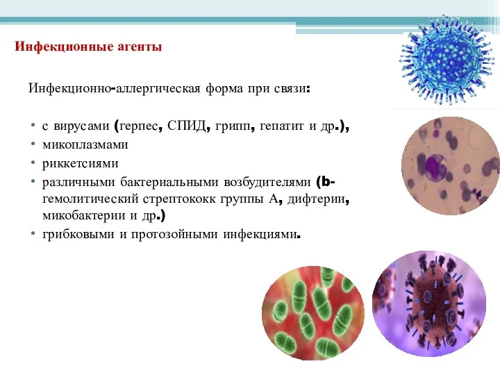 Инфекционные агенты Инфекционно-аллергическая форма при связи: с вирусами (герпес, СПИД,