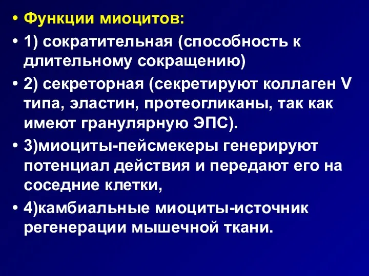 Функции миоцитов: 1) сократительная (способность к длительному сокращению) 2) секреторная