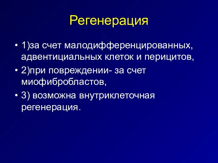 Регенерация 1)за счет малодифференцированных, адвентициальных клеток и перицитов, 2)при повреждении-