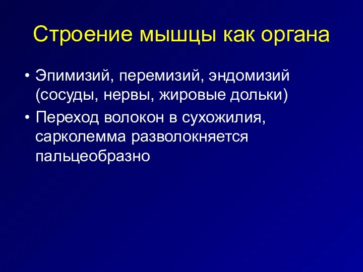 Строение мышцы как органа Эпимизий, перемизий, эндомизий (сосуды, нервы, жировые дольки) Переход волокон