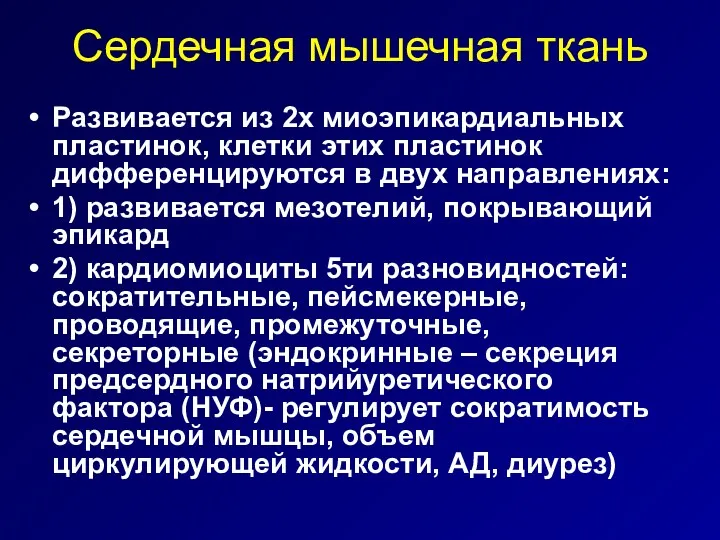 Сердечная мышечная ткань Развивается из 2х миоэпикардиальных пластинок, клетки этих