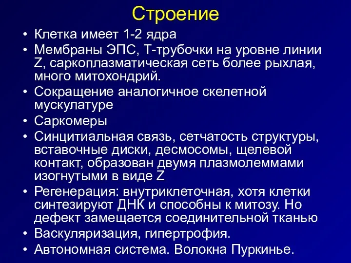 Строение Клетка имеет 1-2 ядра Мембраны ЭПС, Т-трубочки на уровне линии Z, саркоплазматическая