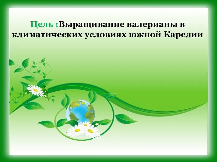 Цель :Выращивание валерианы в климатических условиях южной Карелии