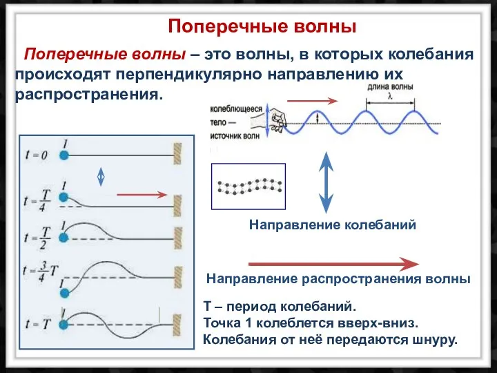 T – период колебаний. Точка 1 колеблется вверх-вниз. Колебания от