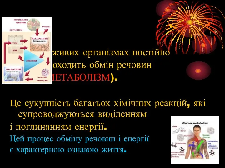 В живих організмах постійно проходить обмін речовин (МЕТАБОЛІЗМ). Це сукупність