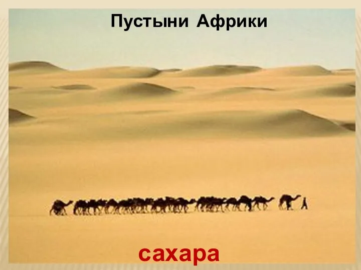 Пустыни Африки сахара