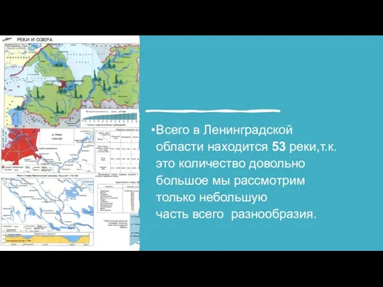 Всего в Ленинградской области находится 53 реки,т.к. это количество довольно