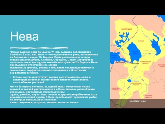 Нева Самая главная река ЛО.Длина 74 км, площадь собственного бассейна