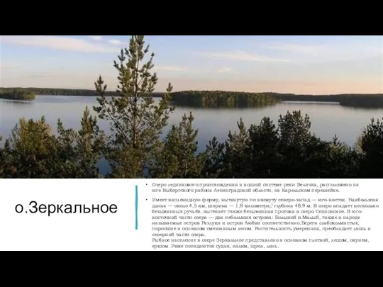 о.Зеркальное Озеро ледникового происхождения в водной системе реки Величка, расположено