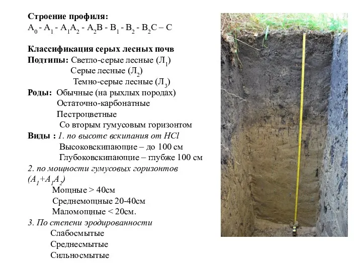 Строение профиля: А0 - А1 - А1А2 - А2В -