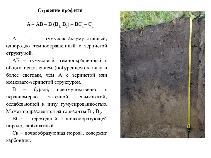 Строение профиля А – АВ – В (В1, В2) –