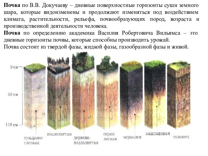 Почва по В.В. Докучаеву – дневные поверхностные горизонты суши земного