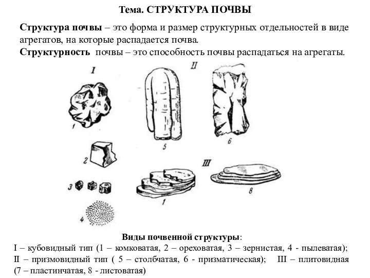 Тема. СТРУКТУРА ПОЧВЫ Структура почвы – это форма и размер