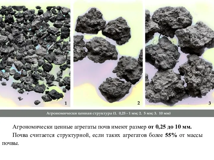 Агрономически ценные агрегаты почв имеют размер от 0,25 до 10