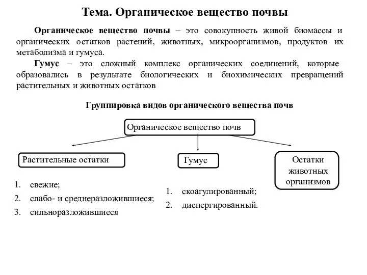 Группировка видов органического вещества почв Растительные остатки Гумус Остатки животных