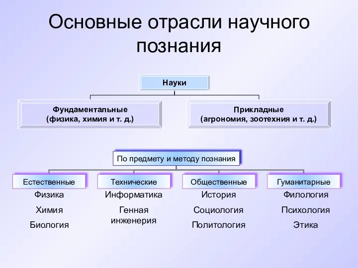 Основные отрасли научного познания Физика Химия Биология Информатика Генная инженерия История Социология Политология Филология Психология Этика