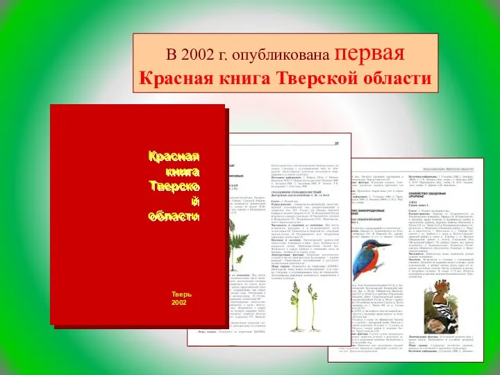 В 2002 г. опубликована первая Красная книга Тверской области