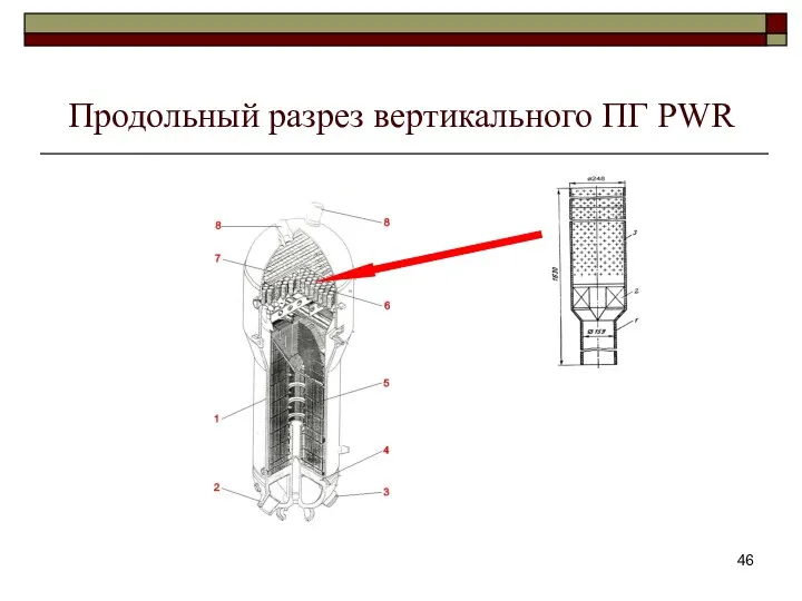 Продольный разрез вертикального ПГ PWR