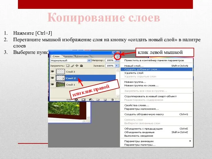 Копирование слоев Нажмите [Ctrl+J] Перетащите мышкой изображение слоя на кнопку
