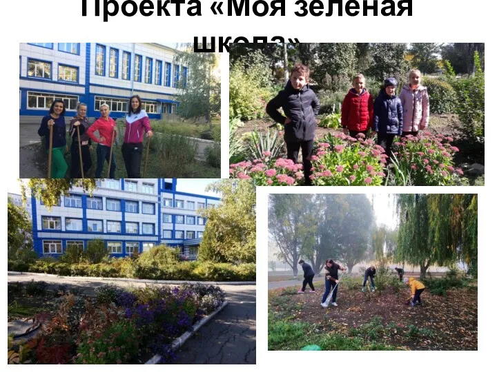 Проекта «Моя зеленая школа»