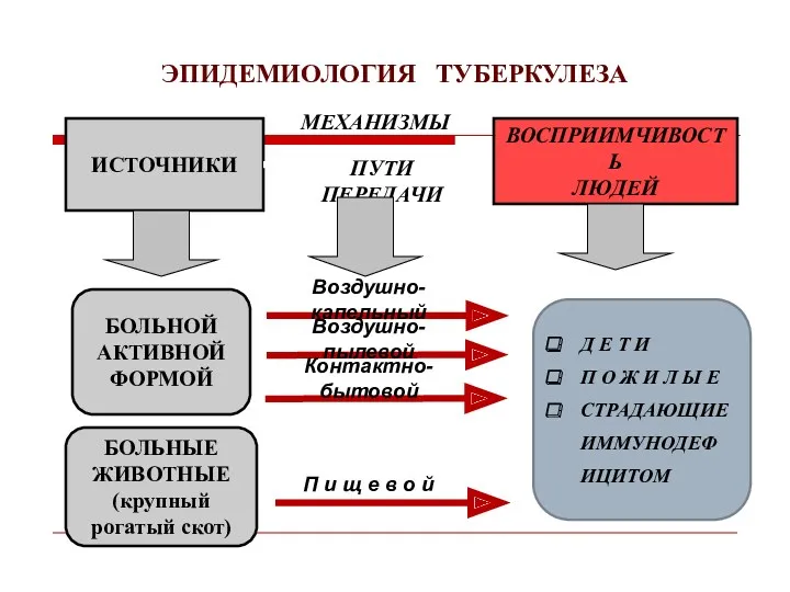 ЭПИДЕМИОЛОГИЯ ТУБЕРКУЛЕЗА ИСТОЧНИКИ ВОСПРИИМЧИВОСТЬ ЛЮДЕЙ БОЛЬНОЙ АКТИВНОЙ ФОРМОЙ БОЛЬНЫЕ ЖИВОТНЫЕ