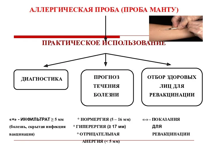 АЛЛЕРГИЧЕСКАЯ ПРОБА (ПРОБА МАНТУ) ПРАКТИЧЕСКОЕ ИСПОЛЬЗОВАНИЕ ДИАГНОСТИКА ПРОГНОЗ ТЕЧЕНИЯ БОЛЕЗНИ