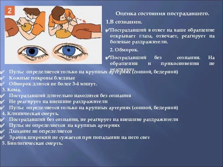 Оценка состояния пострадавшего. В сознании. Пострадавший в ответ на ваше