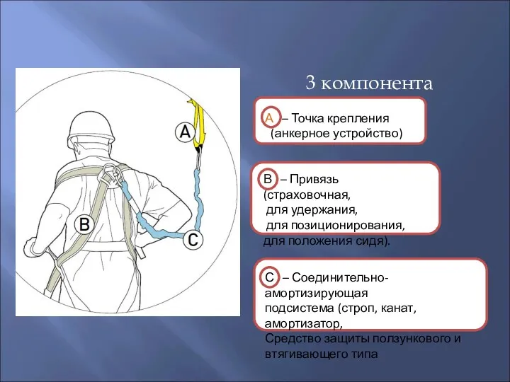 А – Точка крепления (анкерное устройство) В – Привязь (страховочная,