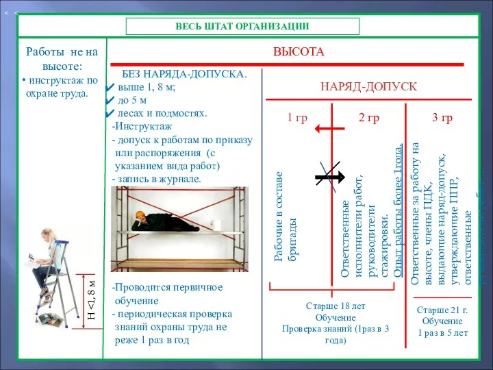 ВЕСЬ ШТАТ ОРГАНИЗАЦИИ Н Работы не на высоте: инструктаж по