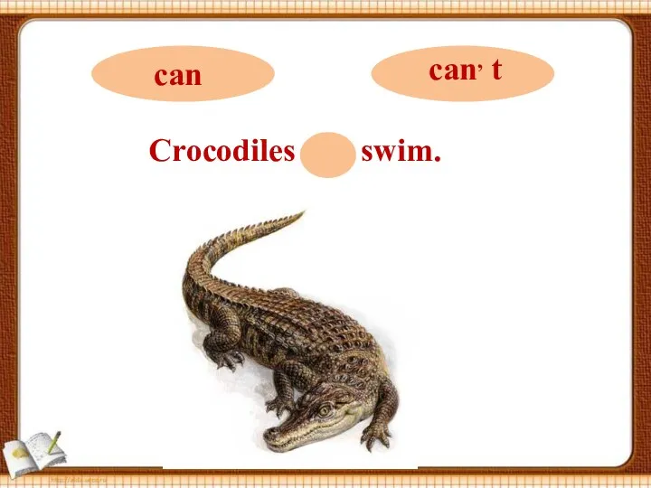 Crocodiles can swim.