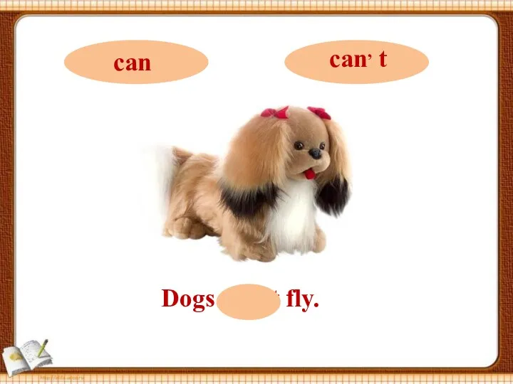 Dogs can, t fly.