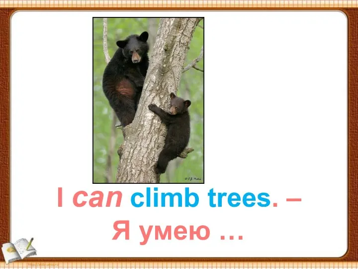 I can climb trees. – Я умею …