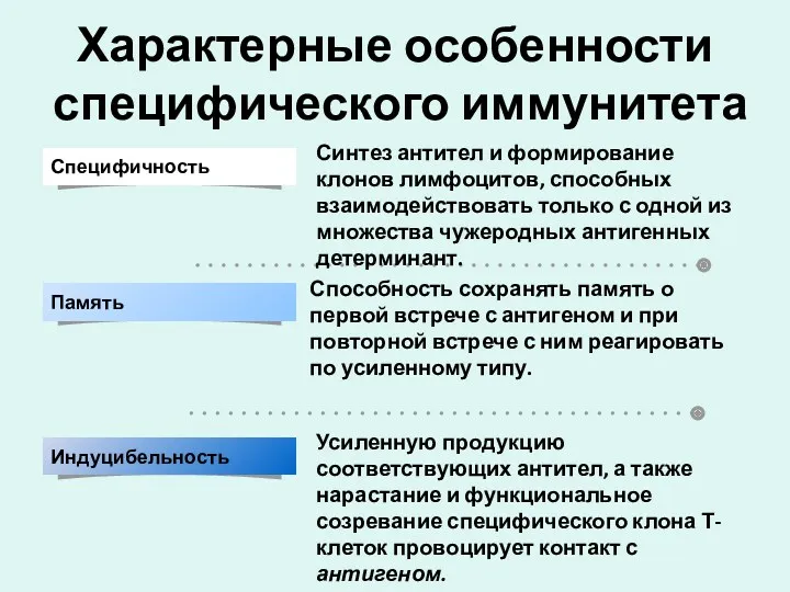 Характерные особенности специфического иммунитета Синтез антител и формирование клонов лимфоцитов,