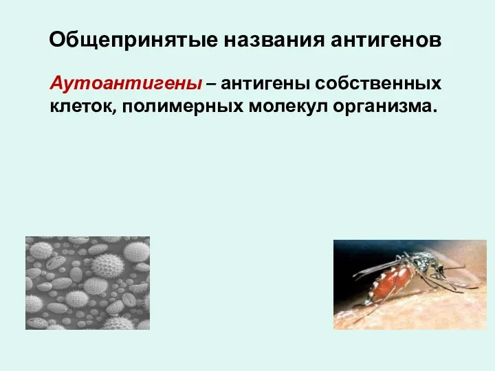 Аутоантигены – антигены собственных клеток, полимерных молекул организма. Общепринятые названия антигенов