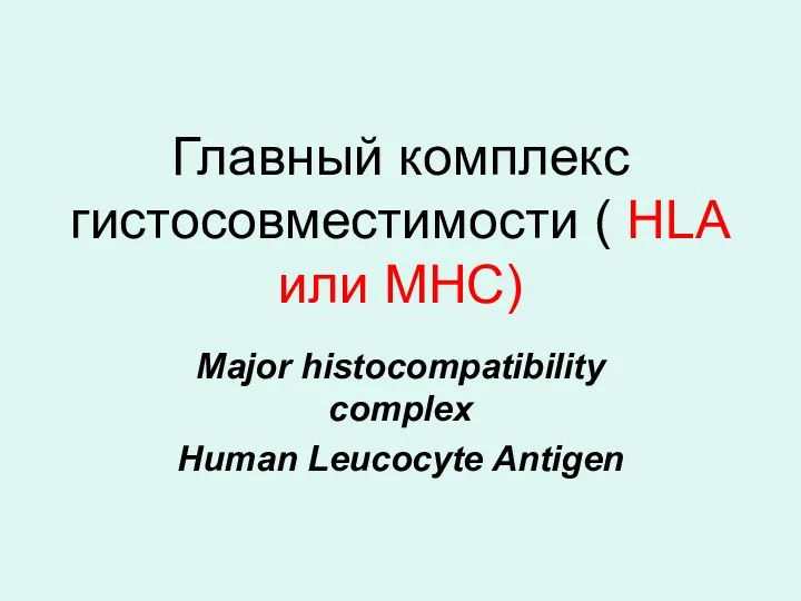 Главный комплекс гистосовместимости ( HLA или МНС) Мajor histocompatibility complex Human Leucocyte Antigen