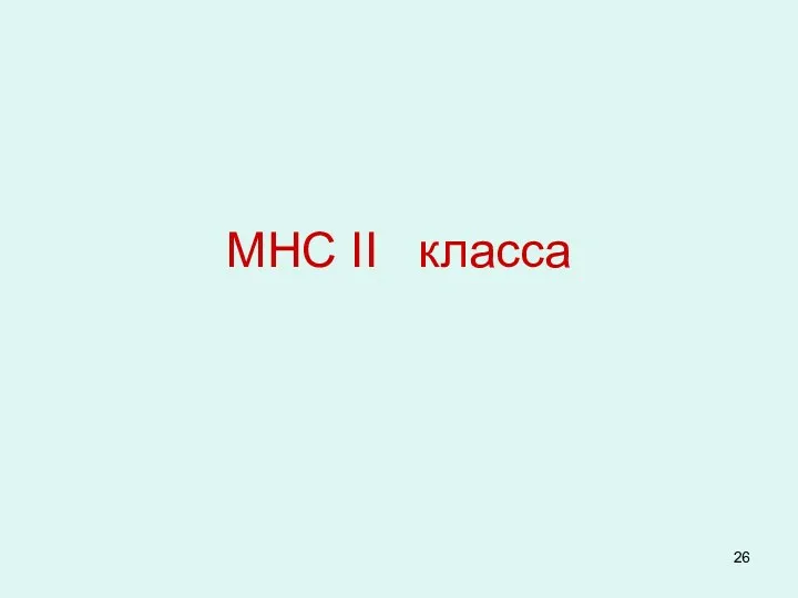 MHC II класса