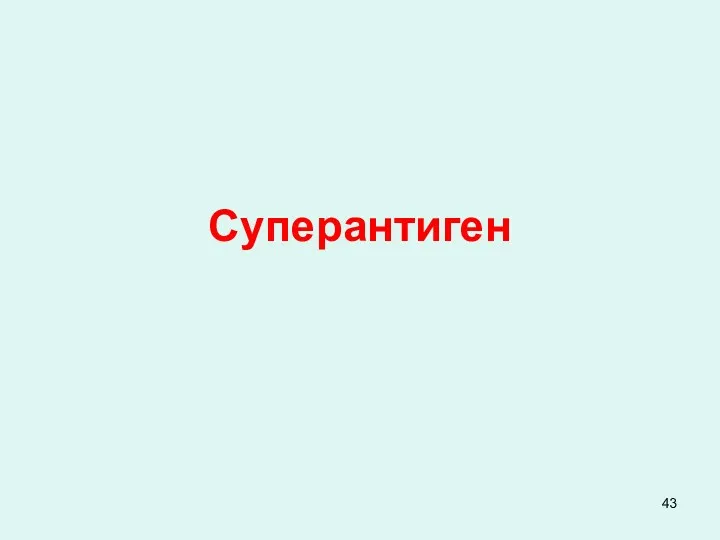 Суперантиген