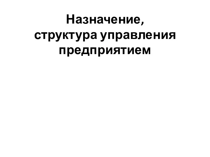 Назначение, структура управления предприятием