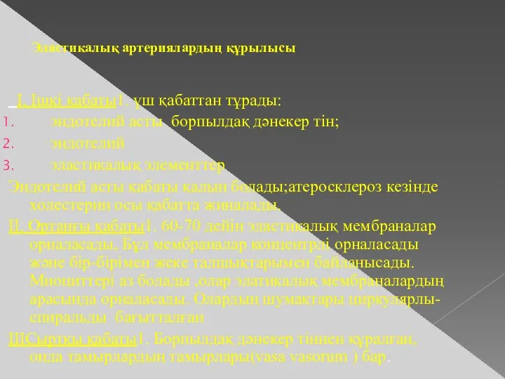 Эластикалық артериялардың құрылысы I. Ішкі қабаты1. үш қабаттан тұрады: эндотелий