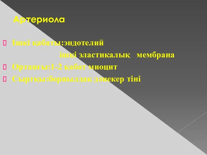 Артериола Ішкі қабаты:эндотелий ішкі эластикалық мембрана Ортанғы:1-2 қабат миоцит Сыртқы:борпылдақ дәнекер тіні