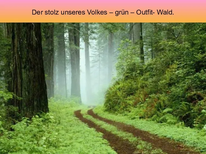 Der stolz unseres Volkes – grün – Outfit- Wald.