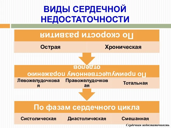 ВИДЫ СЕРДЕЧНОЙ НЕДОСТАТОЧНОСТИ Сердечная недостаточность