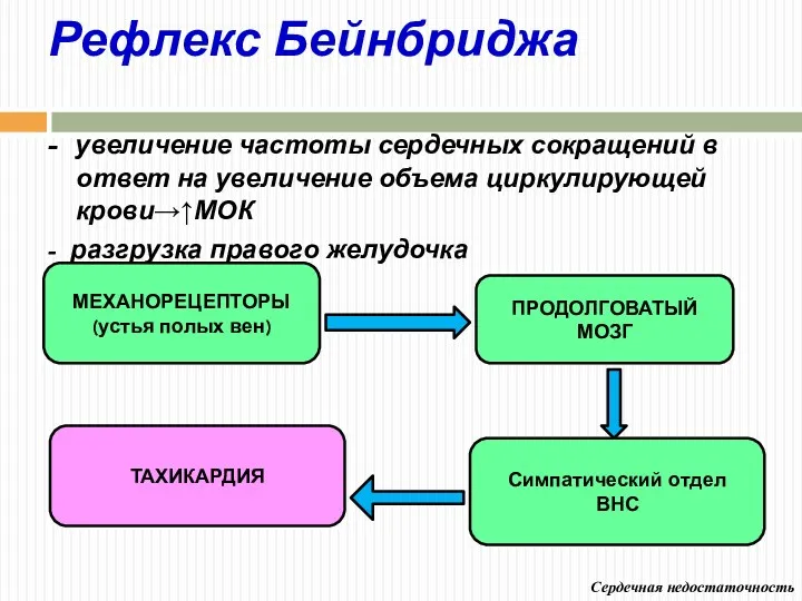 Рефлекс Бейнбриджа - увеличение частоты сердечных сокращений в ответ на