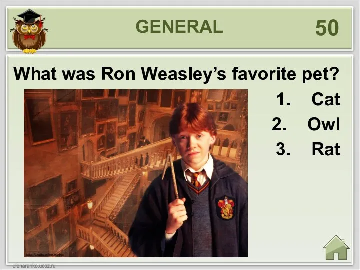 GENERAL 50 What was Ron Weasley’s favorite pet? Cat Owl Rat