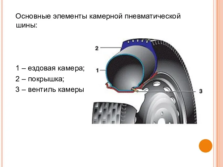 Основные элементы камерной пневматической шины: 1 – ездовая камера; 2 – покрышка; 3 – вентиль камеры