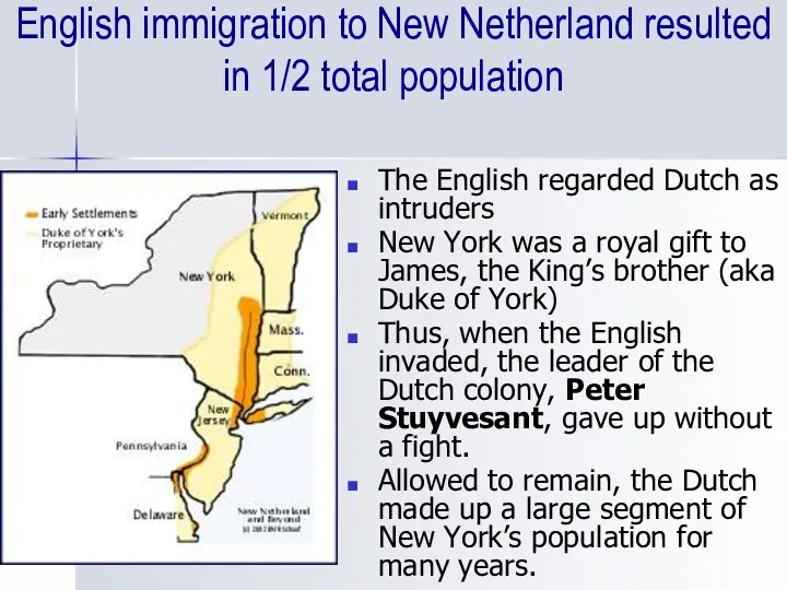 English immigration to New Netherland resulted in 1/2 total population The English regarded