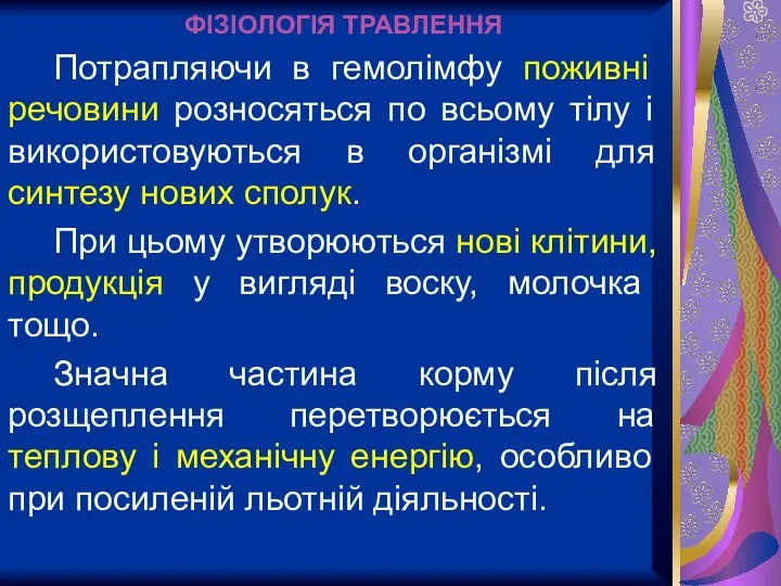 ФІЗІОЛОГІЯ ТРАВЛЕННЯ Потрапляючи в гемолімфу поживні речовини розносяться по всьому