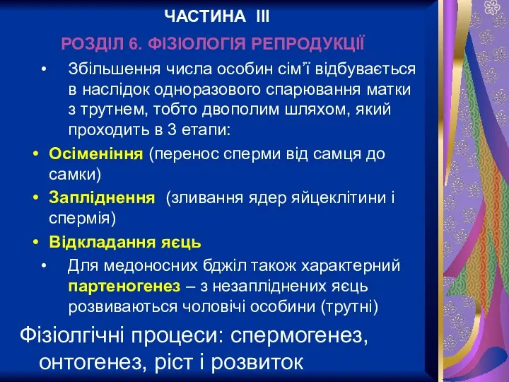 Збільшення числа особин сім’ї відбувається в наслідок одноразового спарювання матки